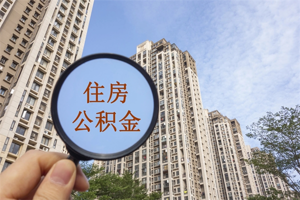 项城辞职了补充公积金能取不（辞职后补充公积金如何提取）